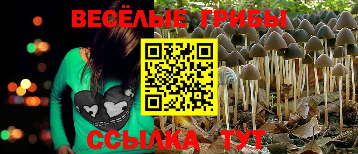 Ленинск-Кузнецкий  Псилоцибиновые грибы Cubensis  Вход с VPN 