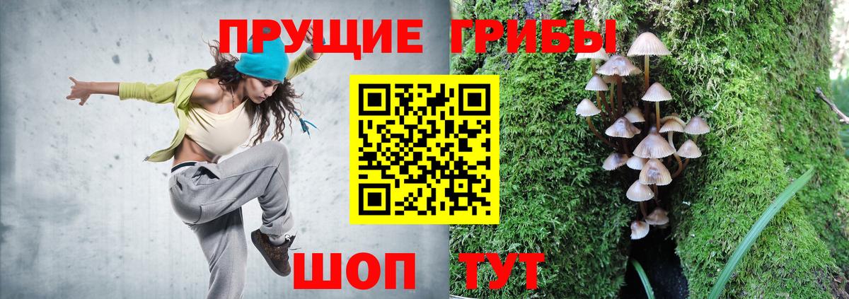 Галлюциногенные грибы Psilocybe Ленинск-Кузнецкий